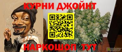 индика Кунгур