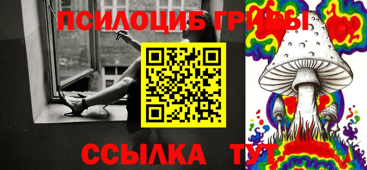Галлюциногенные грибы Psilocybine cubensis  Вход с VPN  Галлюциногенные грибы Psilocybine cubensis  Знаменск 