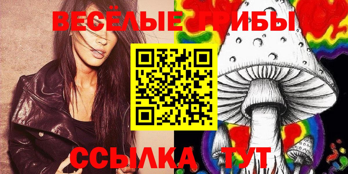 Псилоцибиновые грибы мицелий Знаменск